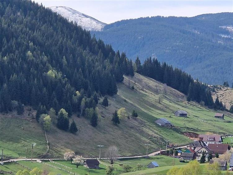 7.000 mp, pozitie spectaculoasa, fara vecini, Fundatica, Brasov - 6