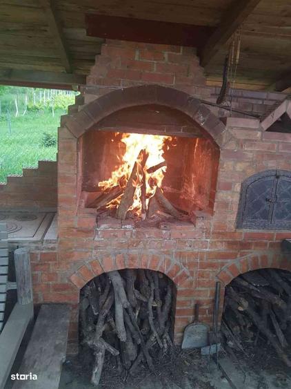 Teren intravilan de vanzare - 6200mp, padure in apropiere - 9