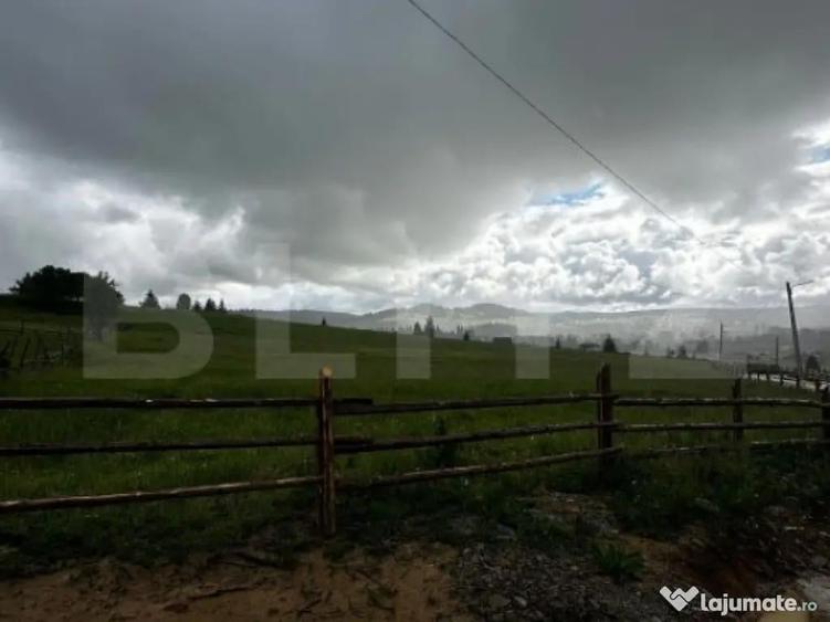 Teren de vanzare intravilan in Poiana Stampei, 2 hectare - 2