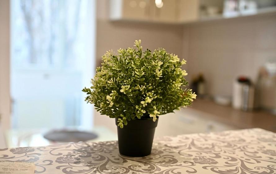 Apartament 2 camere Crângași - 3