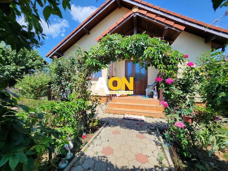 De vanzare casa 3 camere, 457mp teren, Oarda de Jos - 2