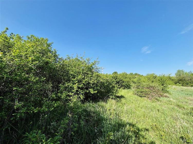 Teren pentru casa cu vedere frumoasa - 4