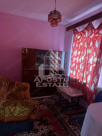 Casa individuala cu teren mare in Remetea Mare - 4