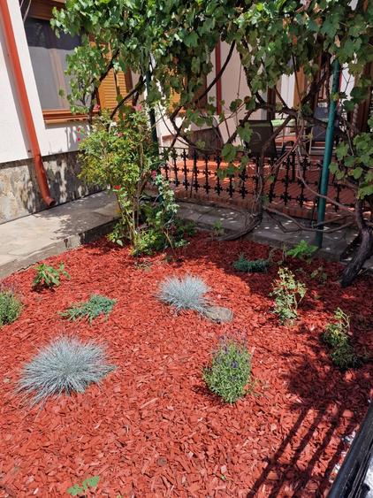 Dacia -  Eminescu - Vasile Lascar - vila cu  4 camere - renovata 2025 - gradina - 11