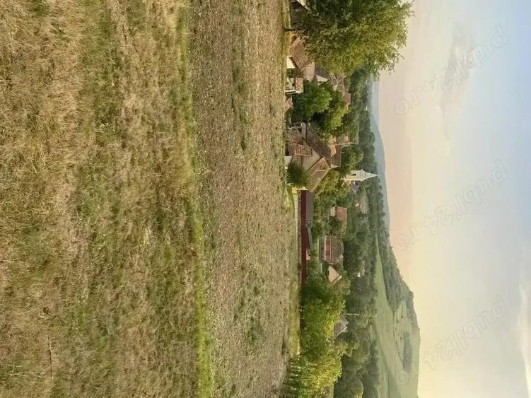 Casa de vanzare in Craiesti comuna Adamus - 8