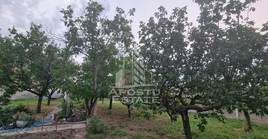 Casa individuala cu 5 camere in Giarmata - 7