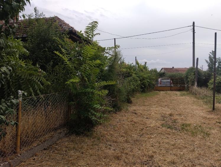 Vand Casa in Domanesti(SM) - 4