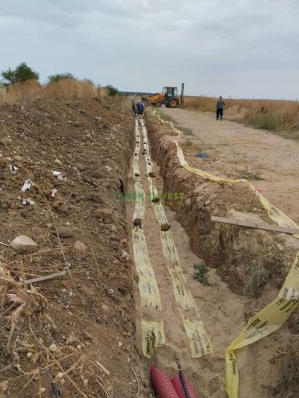 TEREN INDUSTRIAL 20.000 MP - TANGANU - A2 PUZ APROBAT - 11