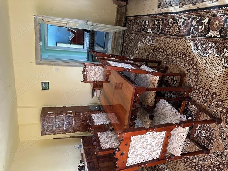 Vand casa taraneasca cu 8000 mp gradina - 5