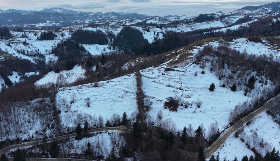 Teren de vanzare - Pestera Magura Moeciu - 1