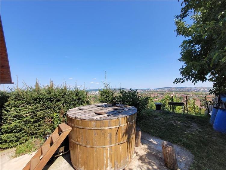 Refugiu de Weekend la 10 Minute de Targu Mures - 6