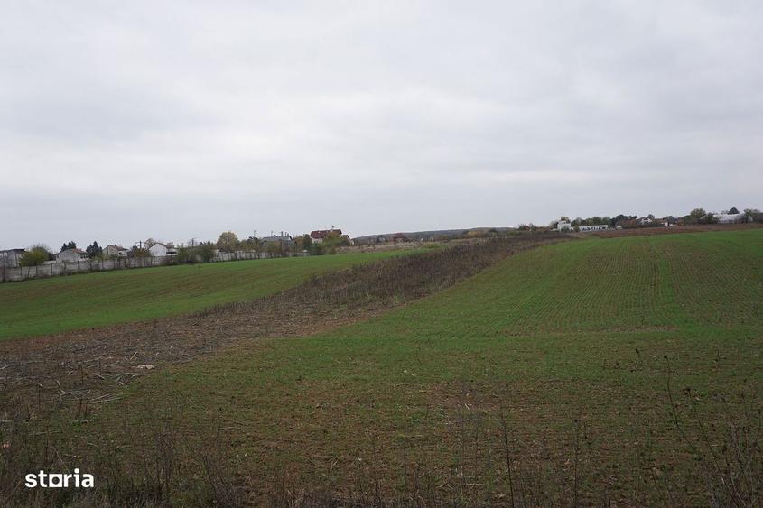 Teren intravilan | Snagov | Izvorani | 2800mp | Stradal - 1