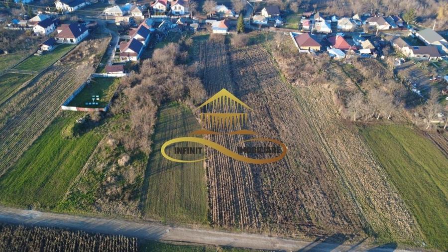 TEREN DE VANZARE - 5