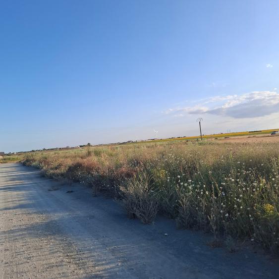 Corbu-faleza-loturi de 515mp - 6