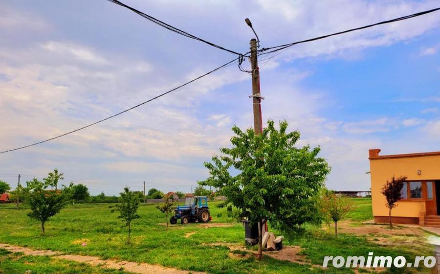 Domeniu, 9,5 ha, 25 KM de Timisoara - 14