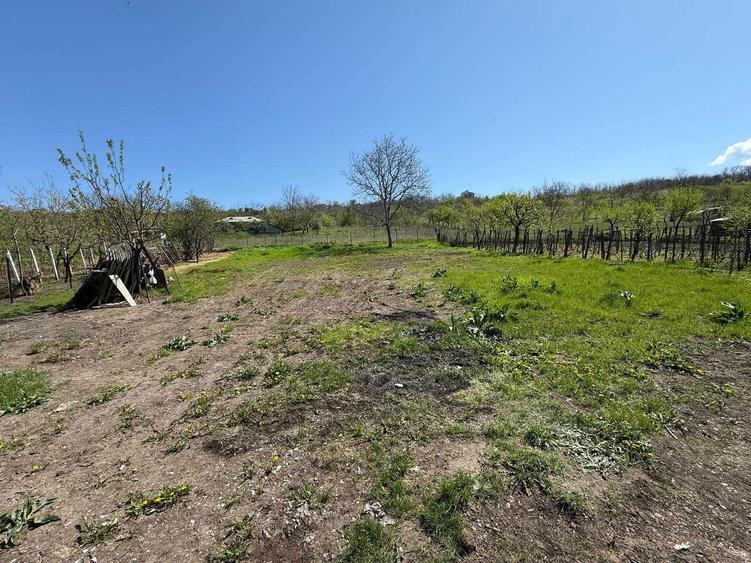 Casa la rosu + teren de 1450 mp in Rediu, Iasi - 8