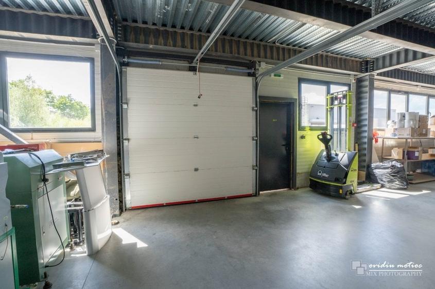 Hale in parcul Tetarom I - 10