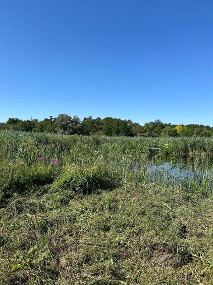 Teren cu deschidere la lac strada Orhideelor- conectare imediata la curent - 9