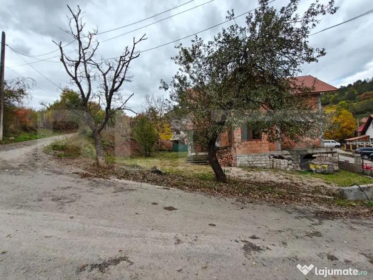 Casa individuala la rosu, 150mp, 500eurp/mp, Agarbiciu - 6
