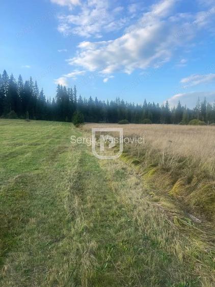 Teren intravilan Poiana Stampei Teren intravilan Poiana Stampei