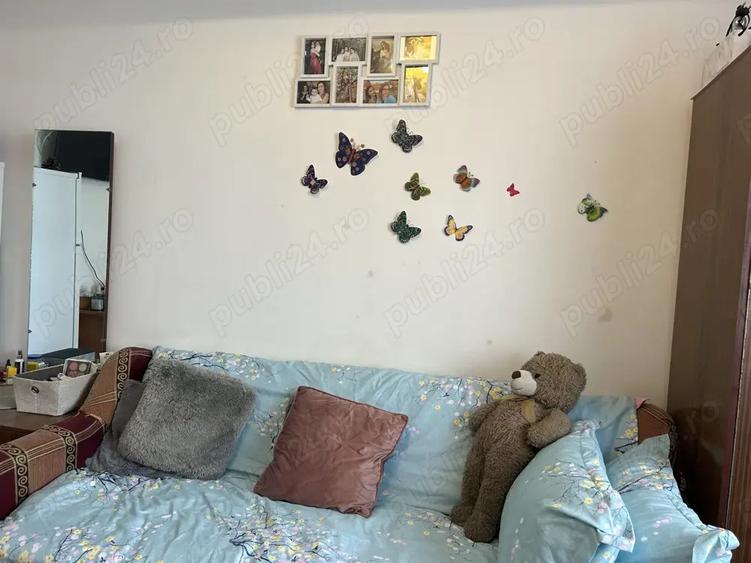 Vand camera de camin 15 m - 1