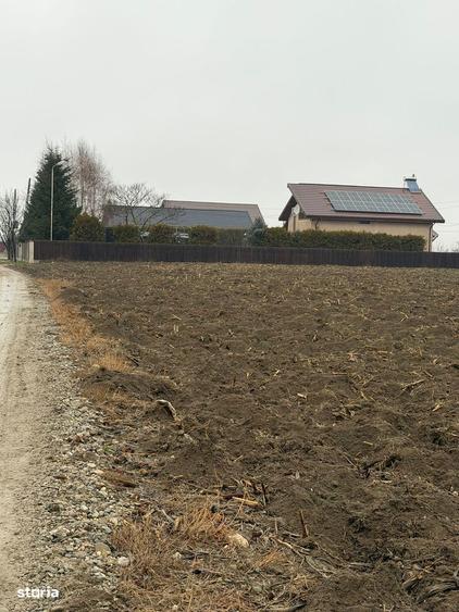 Vand Teren Hemeiusi sat Liliecipe strada prelungirea crinului - 2