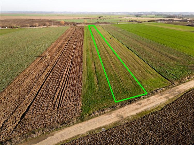 RECO teren 5000mp cu deschidere la DN19 Tamaseu - 5