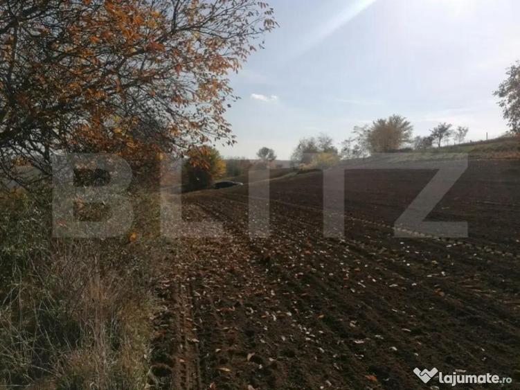 Teren extravilan 5000 mp, Uricani - 1