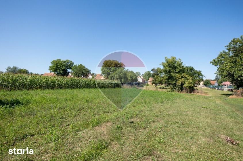 Teren de 1620 mp, în Comana