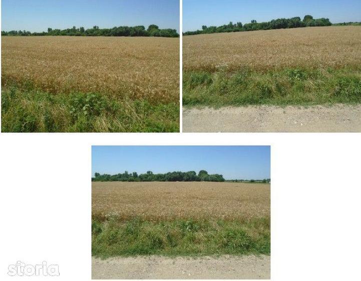 Teren extravilan cota parte 1/6 Domnesti ; ID: R2928832 - 3
