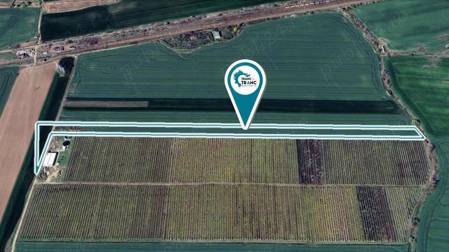 Teren agricol de 1,95 ha in Zimandu Nou - 3