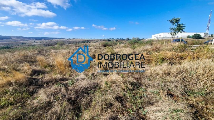 ZONA PECO- TEREN 1496 MP, IDEAL CONSTRUCTII LOCUINTE - 7