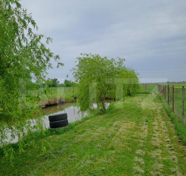 Casa cu teren generos ?i balta de pescuit Gae?ti - 10