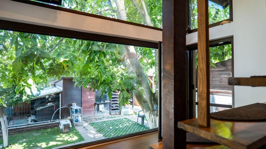 Oferta - Vila cu 4 camere, langa Bucuresti, Postavari - Calarasi - 32