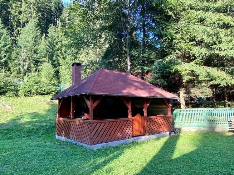 Cabana de inchiriat - 8