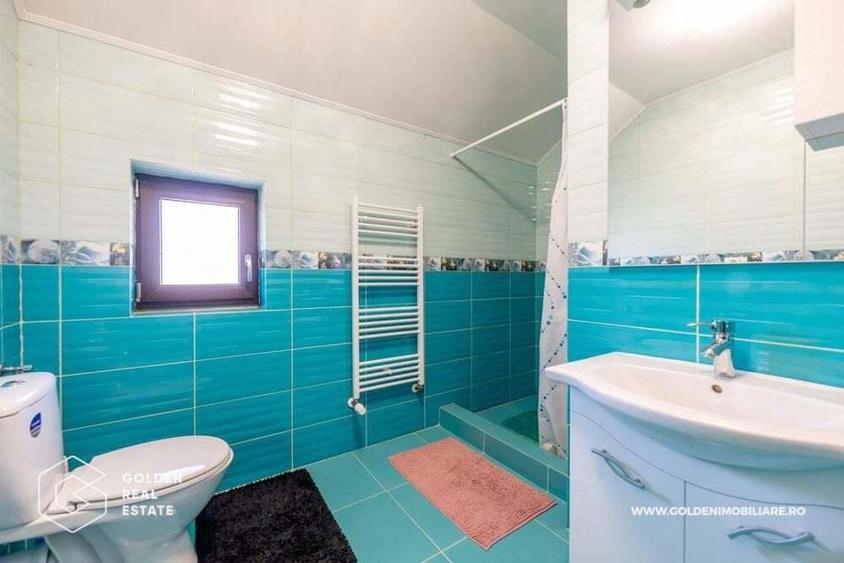 Vila de lux in localitatea Livada - 16