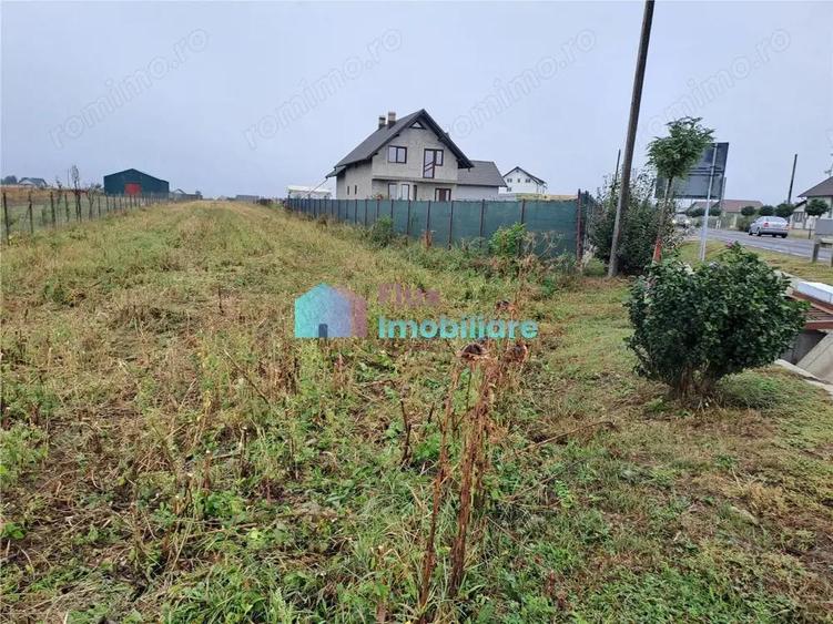 Teren intravilan 2700 mp Dumbraveni - 3