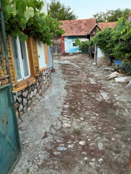 Vand casa parter+ etaj in Pauca la soseaua principala! - 2