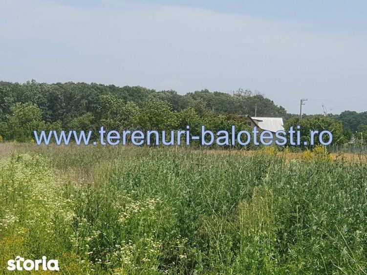 Vila Balotesti, padure,'la rosu',bransata la utilitati 99000 euro - 6
