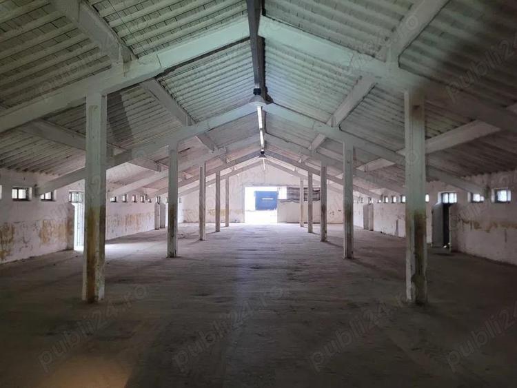 Hale de inchiriat - 1200m2 pana la 7200m2 Teiu Jud Hunedoara langa autostrada - 2