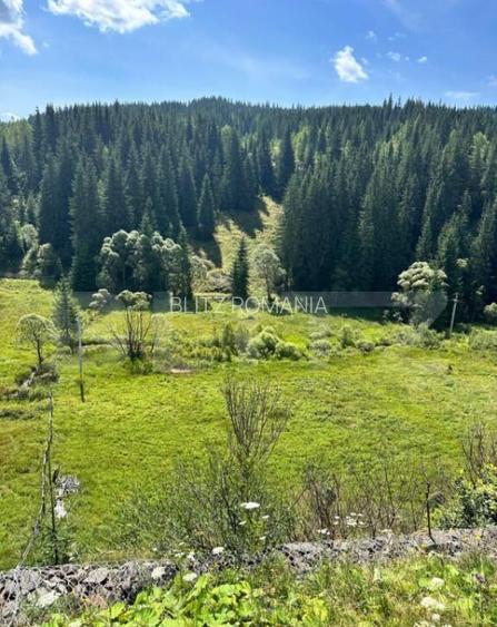 Teren intravilan de vanzare, 6941 mp, zona Mestecani?