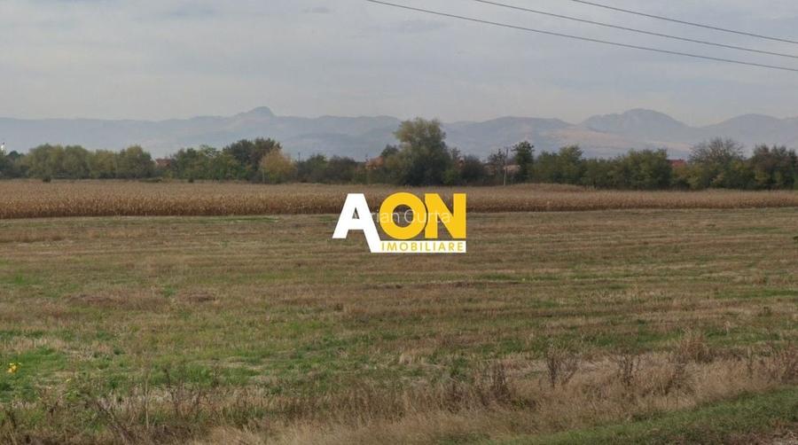 Teren Construcții intravilan de 5800 mp, în Oiejdea