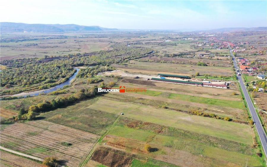 TEREN INTRAVILAN EXTRAVILAN | AUSEU - 3