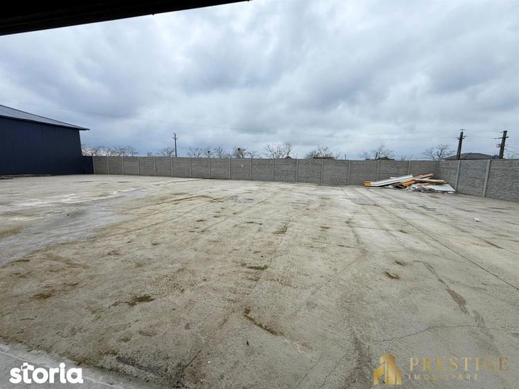 Hala 210 mp de inchiriat in Livada la 5 min de Aeroportul Oradea - 8