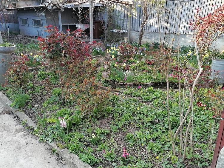 Casa din 3 camere cu curte Giulesti sector 1 - 10