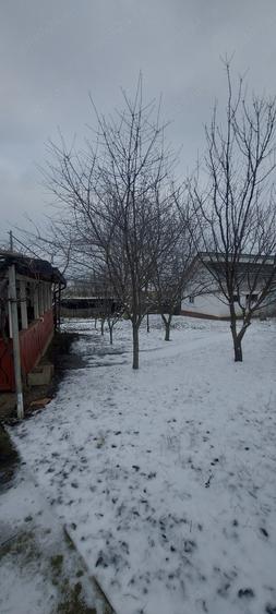 Proprietate cu poten?ial investi?ional casa + teren generos 2.700 mp - 1