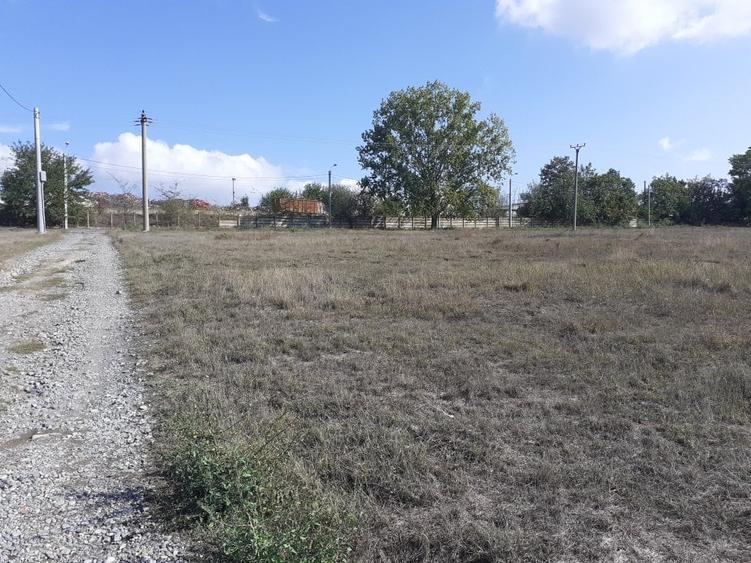 OCAZIE:Teren intravilan Tulcea-19euro/m.p. - 1