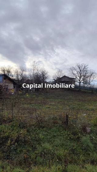 Teren Intravilan Baicoi 1061 mp - 6