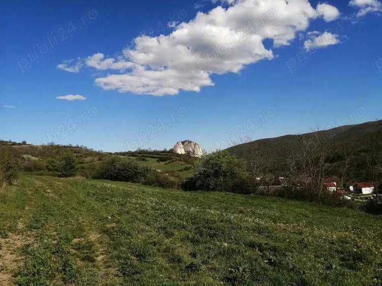 Teren de 4100 mp, în Ampoița