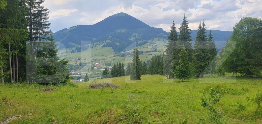 Teren Construcții extravilan de 19492 mp, în Vatra Dornei